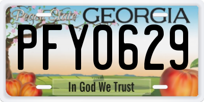 GA license plate PFY0629
