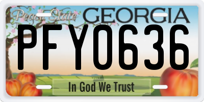 GA license plate PFY0636