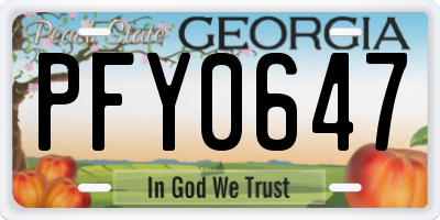 GA license plate PFY0647