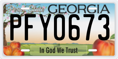 GA license plate PFY0673