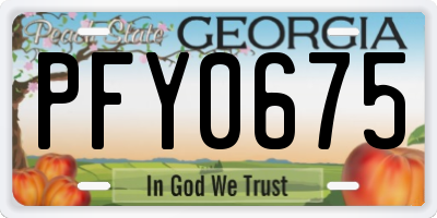 GA license plate PFY0675