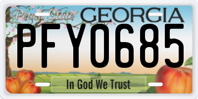 GA license plate PFY0685
