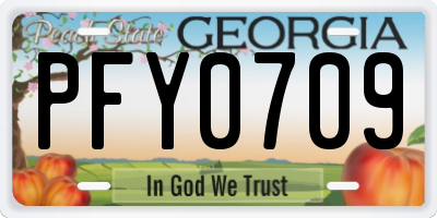 GA license plate PFY0709
