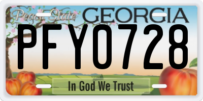 GA license plate PFY0728