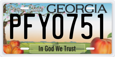 GA license plate PFY0751