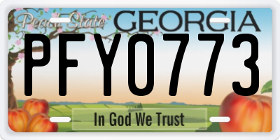 GA license plate PFY0773