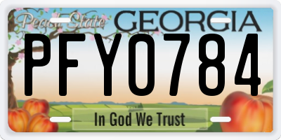 GA license plate PFY0784
