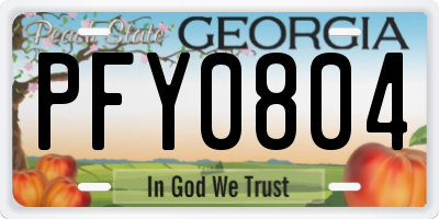 GA license plate PFY0804