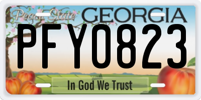 GA license plate PFY0823