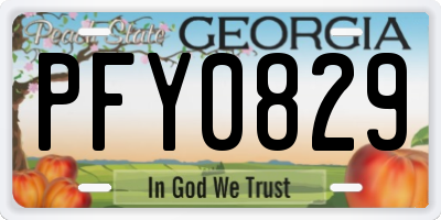 GA license plate PFY0829