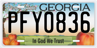 GA license plate PFY0836