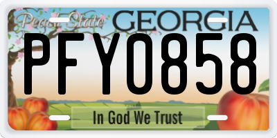 GA license plate PFY0858