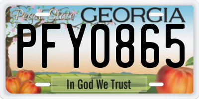 GA license plate PFY0865