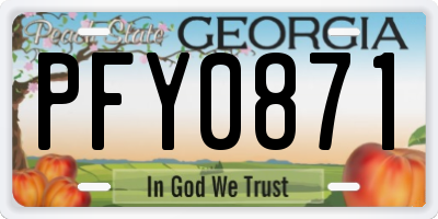 GA license plate PFY0871