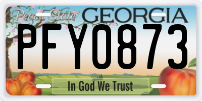 GA license plate PFY0873