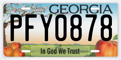 GA license plate PFY0878