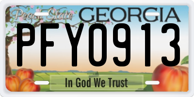 GA license plate PFY0913