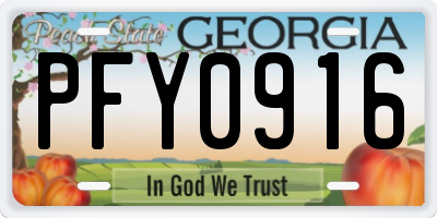 GA license plate PFY0916