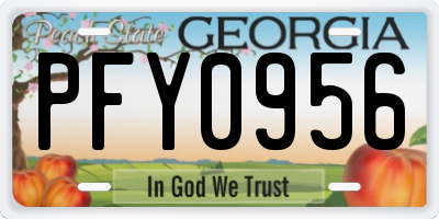 GA license plate PFY0956