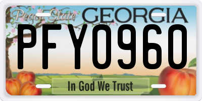 GA license plate PFY0960