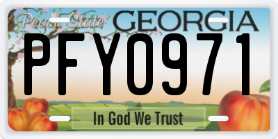 GA license plate PFY0971