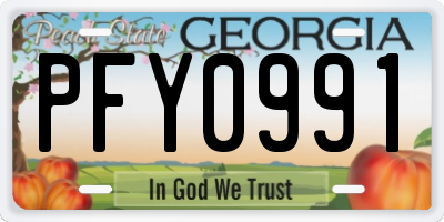 GA license plate PFY0991