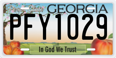 GA license plate PFY1029