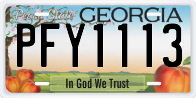 GA license plate PFY1113