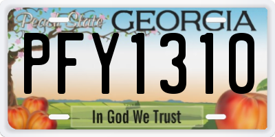 GA license plate PFY1310