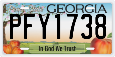 GA license plate PFY1738