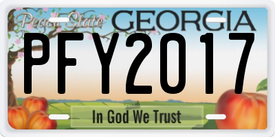 GA license plate PFY2017