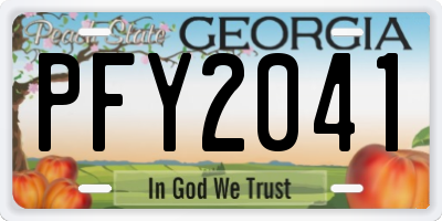 GA license plate PFY2041