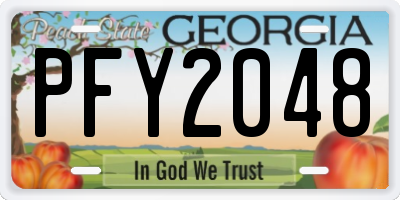GA license plate PFY2048