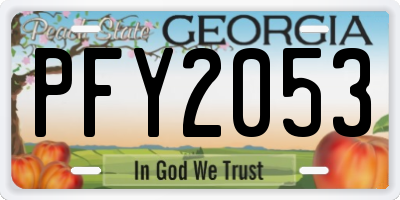 GA license plate PFY2053