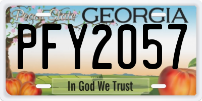 GA license plate PFY2057