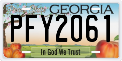 GA license plate PFY2061