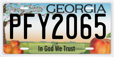 GA license plate PFY2065
