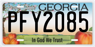 GA license plate PFY2085