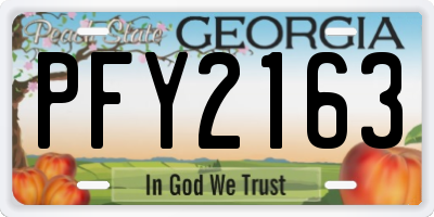 GA license plate PFY2163