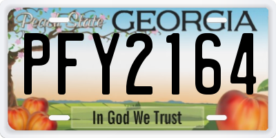 GA license plate PFY2164