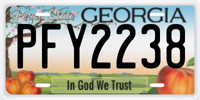 GA license plate PFY2238