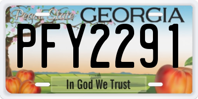 GA license plate PFY2291