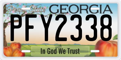 GA license plate PFY2338