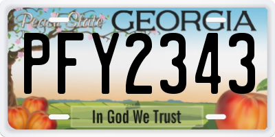 GA license plate PFY2343