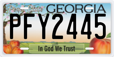 GA license plate PFY2445