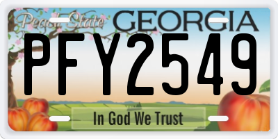GA license plate PFY2549