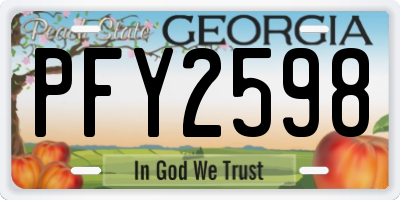 GA license plate PFY2598