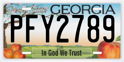 GA license plate PFY2789