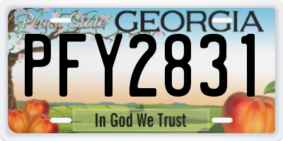 GA license plate PFY2831