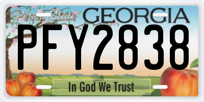 GA license plate PFY2838
